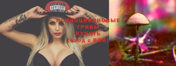 гашик Каменск-Шахтинский