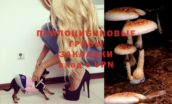кокаин премиум Каменка