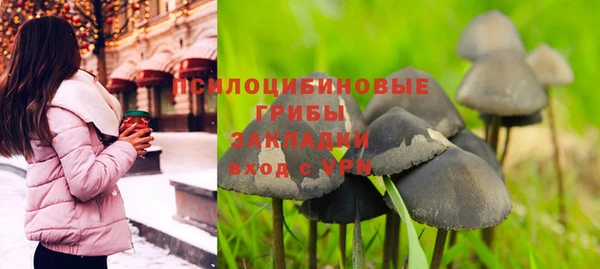прущая мука Каменногорск