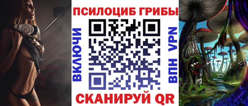 Псилоцибиновые грибы Psilocybe  Купить закладки  Первоуральск 